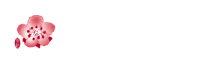 中華航空 China Airlines Logo